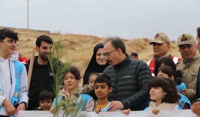 Siirt’te 2 bin 500 fidan toprakla buluştu