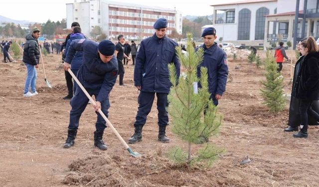 Sivas’ın ormanlık alanı 504 bin dekara yükseldi