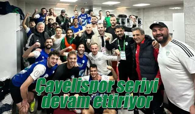 Çayelispor Fatsa engelini de 3 puanla aştı seriye devam etti