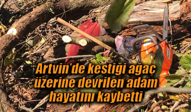 Artvin’de kestiği ağaç üzerine devrilen adam hayatını kaybetti