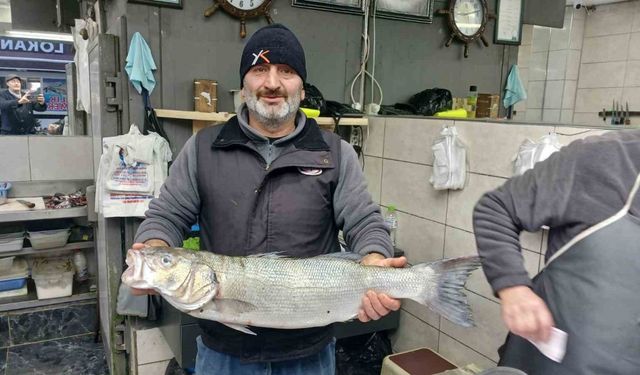 Akçakoca’da balıkçıların ağları doldu, 9 kiloluk levrek yakalandı