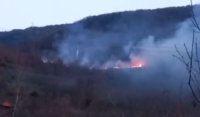 Bolu’daki örtü yangını kontrol altına alındı