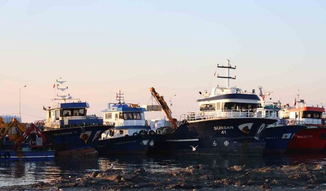 Didim Taşburun Balıkçı Barınağı’nın içler acısı hali görenleri şaşırtıyor