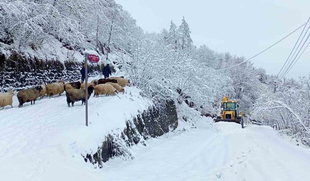 Doğu Karadeniz’de 123 köy yolu ulaşıma kapandı