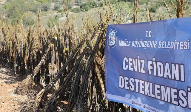 ‘Her Kapıda Bir Fidan Projesi’ Menteşe’de başlıyor