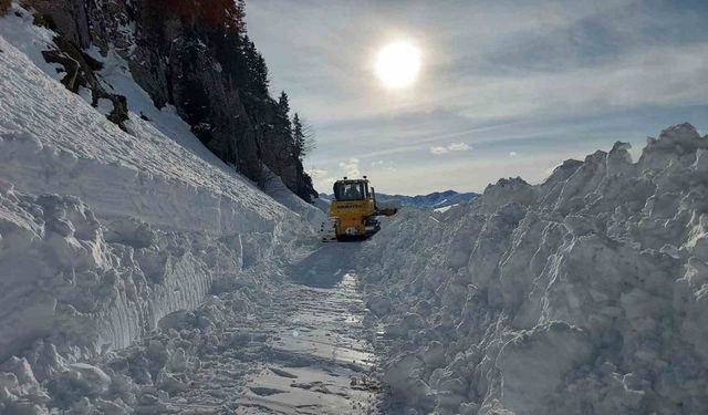 Kar nedeniyle ulaşıma kapanan Artvin’in Macahel Geçidi’nde yol açma çalışmaları 10 gündür devam ediyor