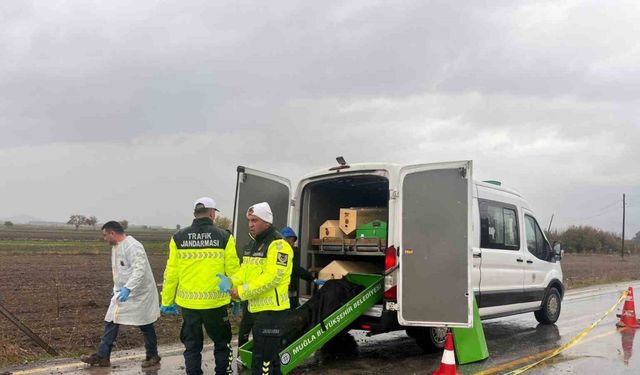 Milas’ta yol kenarında bulunan erkek cesedinin kimliği tespit edildi