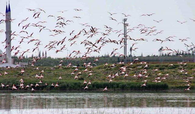 NÖHÜ, Dünya Yeşil Kampüs sıralamasında ilk 300’e girdi