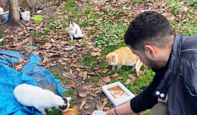 Öğrencilerden sokak hayvanlarına şefkat