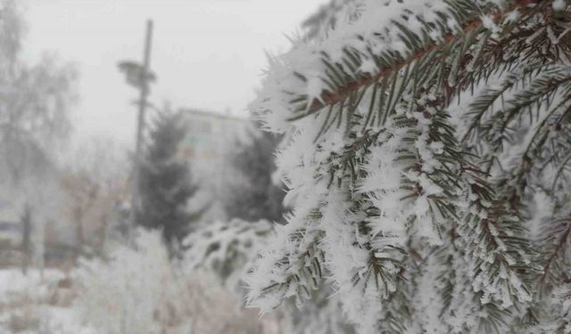 Sibirya soğukları Ardahan’ı dondurdu