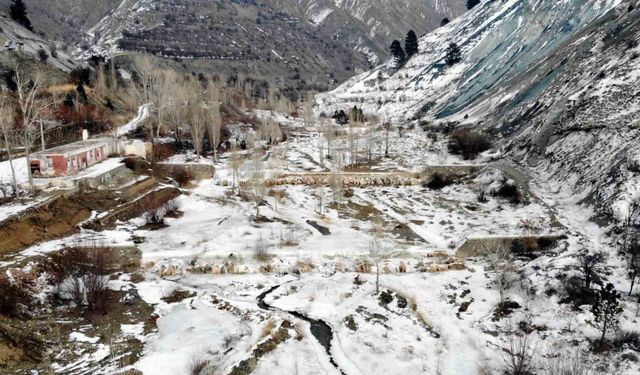 Sibirya soğukları Erzincan’ı dondurdu