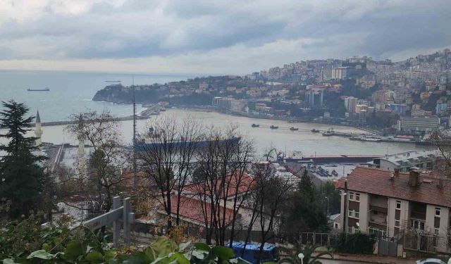 Zonguldak Limanı sarı renge boyandı