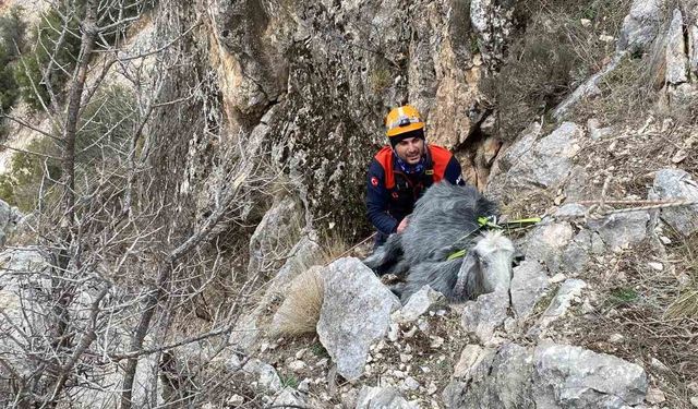 Burdur’da dağlık alanda mahsur kalan keçi kurtarıldı