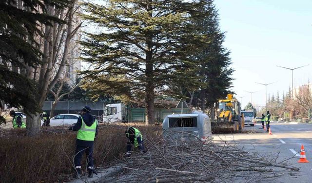 Büyükşehir ekipleri budama çalışmalarına devam ediyor