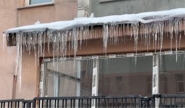 İki mevsim arası 50 kilometre: Yüksekova’da dondurucu soğuk, Şemdinli’de ise bahar havası