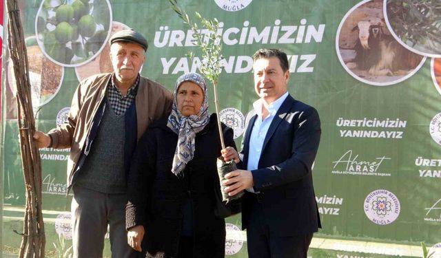 Muğla Büyükşehir Belediyesi 110 bin fidan dağıttı