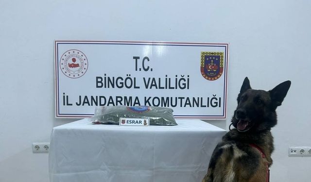 Bingöl’de uyuşturucu madde ele geçirildi, aranan 8 şüpheli yakalandı