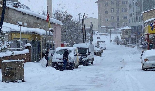 Karlıova’da 20 köy yolu ulaşıma kapandı