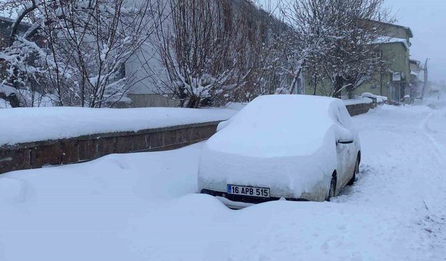 Karlıova’da kar hayatı olumsuz etkiledi, 47 köy yolu ulaşıma kapandı