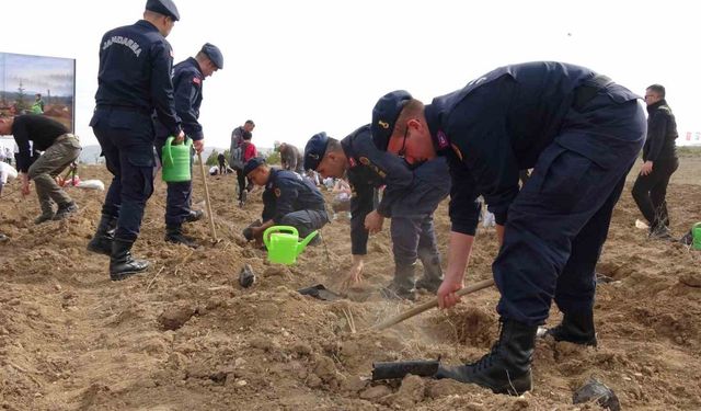 Burdur’da ’doğanın lezzeti ormanda saklı’ diyerek bin 600 fidan toprakla buluşturuldu