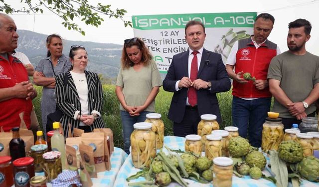 Akçapınar’da ‘Hibrit Enginar Hasadı Tarla Günü’ düzenlendi