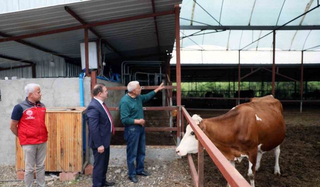 ‘Anneleri Aşılat, Buzağını Yaşat’ projesi eğitim toplantısı Ortaca’da gerçekleştirildi
