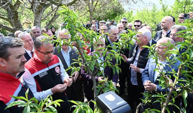 Bakan Yardımcısı Gümen: "Bazı yerlerde yüzde 10, bazı yerlerde ise yüzde 100 hasar oranı var"