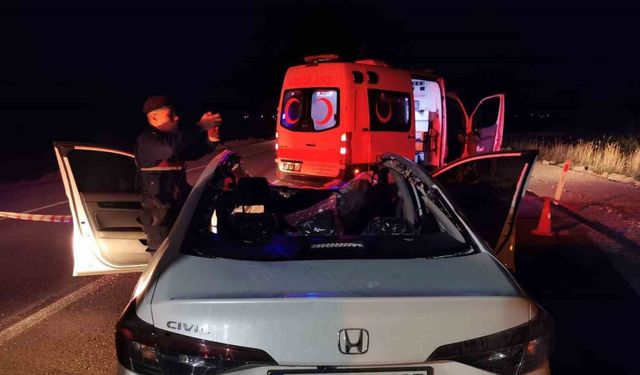 Başıboş ata çarpan otomobil takla atarak hurdaya döndü: 1 ölü 1 yaralı