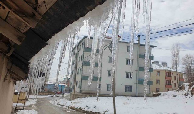 Başkale baharda dondu