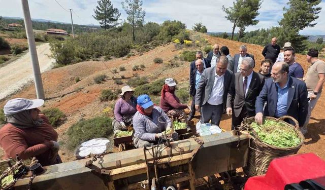 Başkan Pütün, Genel Başkan Yardımcısı Osmanağaoğlu ile birlikte Beyağaçlı çiftçilerle buluştu