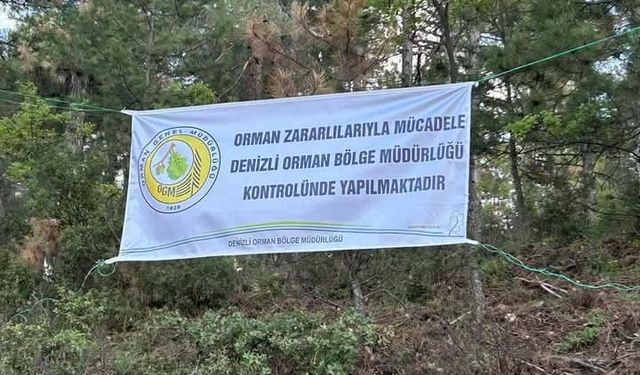 Denizli’de ağaçları kurutan böceklerle mücadele başlatıldı