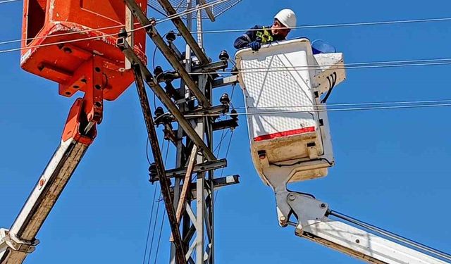 Edirne’de leylekler için elektrik direklerine yuvalar yerleştirildi
