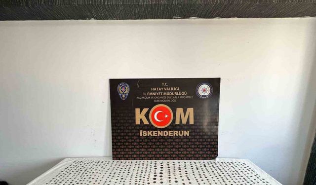 Hatay’da bin 30 adet sikke ele geçirildi