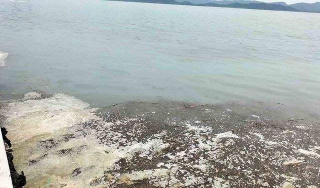 Köyceğiz Gölü’ndeki müsilaj tedirgin etti