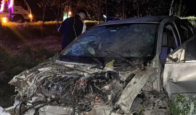 Söğütlü’de tarlaya uçan otomobildeki 4 kişi yaralandı