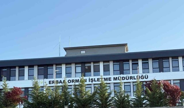 Tokat’ta jandarmadan yolsuzluk operasyonu: 7 gözaltı