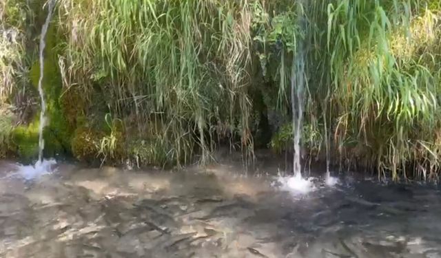 Türkiye’nin 23. doğa harikası Güney Şelalesi ziyaretçilerini bekliyor