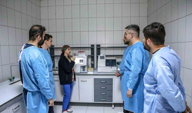 Üniversite öğrencileri hayvan bakım evinde uygulamalı eğitim alıyor