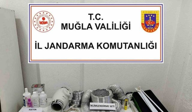 Uyuşturucu operasyonunda 1 gözaltı