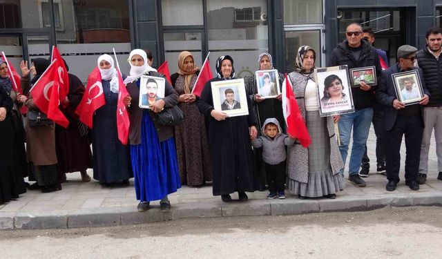 Vanlı annelerin evlat nöbeti 100’üncü haftasında