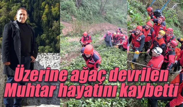 Rize'de üzerine ağaç devrilen muhtar hayatını kaybetti