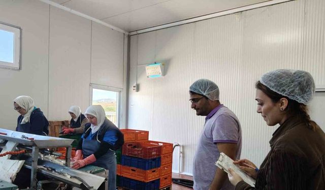 Beyşehir Gölüne kıyısı olan ilçedeki balık fabrikaları denetlendi