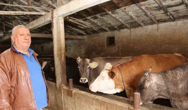 Erzurum’da kurbanlık satışında bekleyiş sürüyor