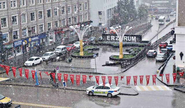 Erzurum’da mayıs ayında kar yağışı