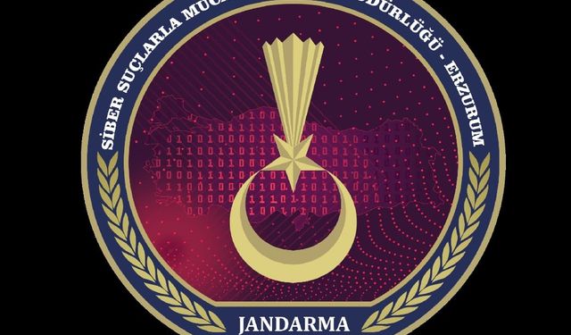 Jandarmadan siber operasyon