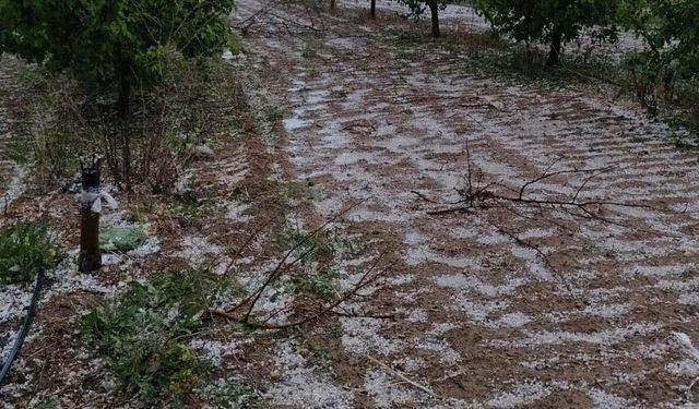 Kurak ilçeye düşen yağmur çiftçiye umut oldu