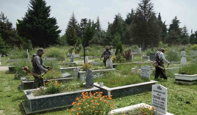 Mezarlıklarda otlar biçiliyor