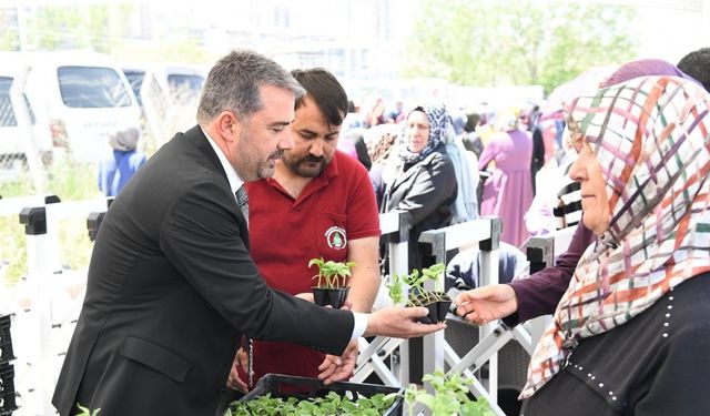 Pursaklar’da yerli tohuma destek