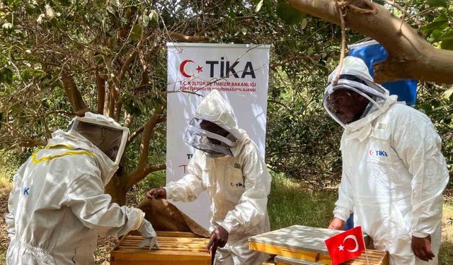 TİKA’dan Sudan’da arıcılığa destek