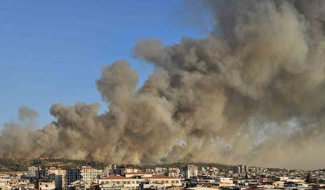İzmir Buca’da orman yangını